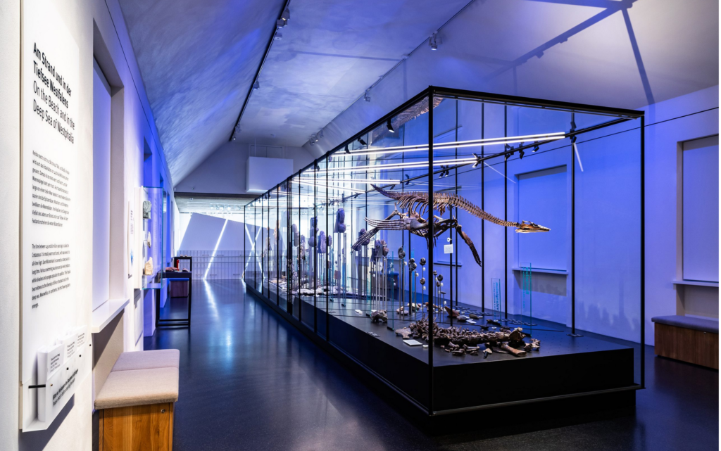Geomuseum Münster